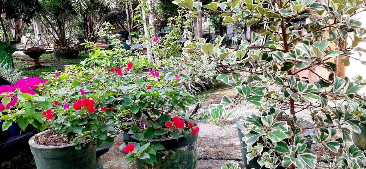 Hiriketiya Cinnamon Garden Dikwella Ngoại thất bức ảnh