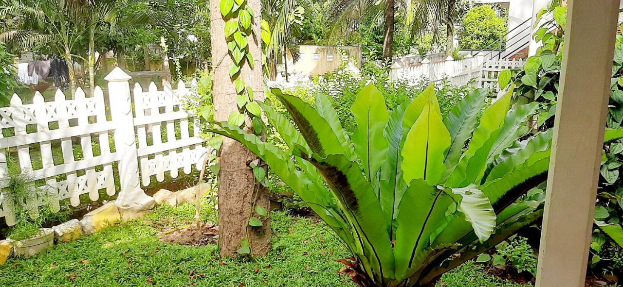 Hiriketiya Cinnamon Garden Dikwella Ngoại thất bức ảnh