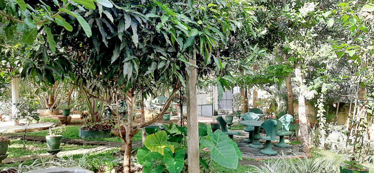 Hiriketiya Cinnamon Garden Dikwella Ngoại thất bức ảnh