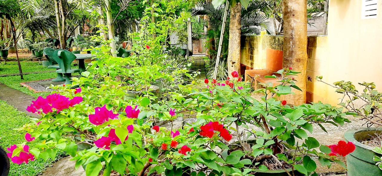 Hiriketiya Cinnamon Garden Dikwella Ngoại thất bức ảnh