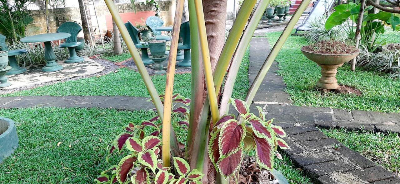 Hiriketiya Cinnamon Garden Dikwella Ngoại thất bức ảnh