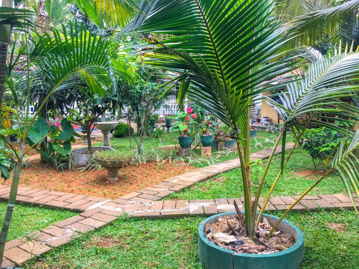 Hiriketiya Cinnamon Garden Dikwella Ngoại thất bức ảnh